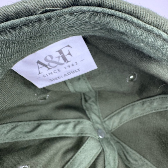 NWT Abercrombie & Fitch Unisex Classic Lion Print Cap - Picture 7 of 7